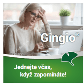 Obrázek produktu Gingio® 40 mg 100 potahovaných tablet