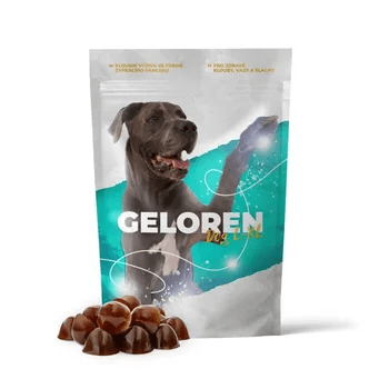 Geloren dog L-XL želé 60 ks